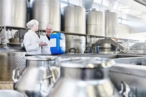 Использование цедры апельсина и лимона при производстве хлебобулочных и мучных кондитерских изделий