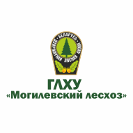 Отчет по организационно-экономической практике ГЛХУ «Могилевский лесхоз»