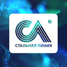 Затраты на производство и реализацию продукции, их влияние на конечные результаты деятельности организации Стальная линия